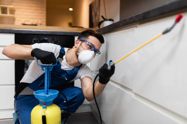 Best Emergency Pest Control  in Cotter, AR