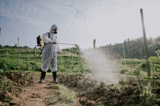 Best Affordable Pest Control Services  in Cotter, AR