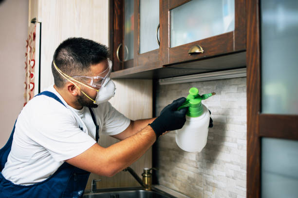Best Pest Removal Services  in Cotter, AR