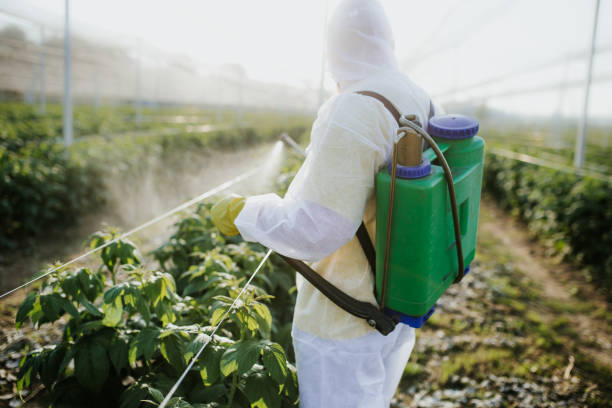 Best Pest Control Near Me  in Cotter, AR